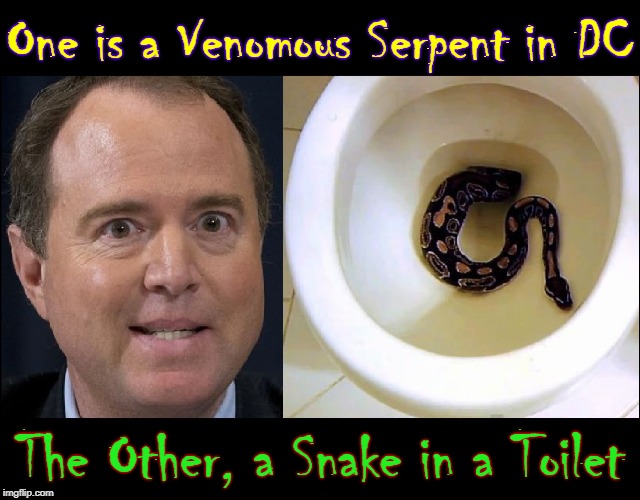 What's the Difference Between these Two? | One is a Venomous Serpent in DC; The Other, a Snake in a Toilet | image tagged in vince vance,adam schiff,snakes,venom,poisonous,toilet | made w/ Imgflip meme maker