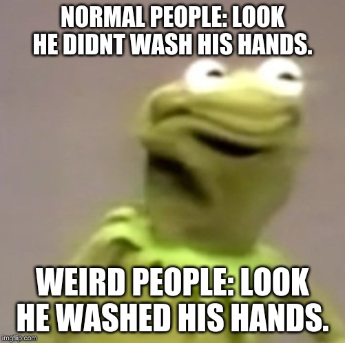 Kermit Weird Face | NORMAL PEOPLE: LOOK HE DIDNT WASH HIS HANDS. WEIRD PEOPLE: LOOK HE WASHED HIS HANDS. | image tagged in kermit weird face | made w/ Imgflip meme maker