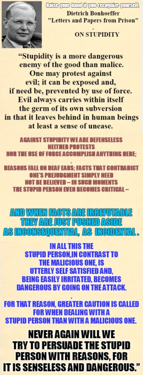 On Stupidity | Raise  your  hand  if  you  recognize  yourself. | image tagged in bonhoeffer,stupidity | made w/ Imgflip meme maker