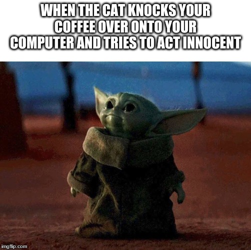 For those of you who haven't seen the Mandalorian yet, you have to. It is awesome. | WHEN THE CAT KNOCKS YOUR COFFEE OVER ONTO YOUR COMPUTER AND TRIES TO ACT INNOCENT | image tagged in baby yoda | made w/ Imgflip meme maker