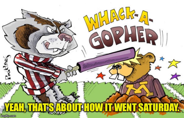 Wisconsin/Minnesota | YEAH, THAT'S ABOUT HOW IT WENT SATURDAY. | image tagged in badger and gopher | made w/ Imgflip meme maker