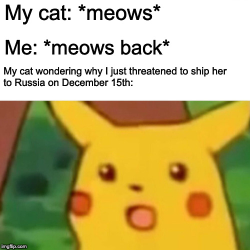 Surprised Pikachu | My cat: *meows*; Me: *meows back*; My cat wondering why I just threatened to ship her
to Russia on December 15th: | image tagged in memes,surprised pikachu | made w/ Imgflip meme maker