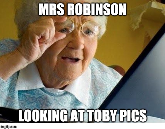 old lady at computer | MRS ROBINSON; LOOKING AT TOBY PICS | image tagged in old lady at computer | made w/ Imgflip meme maker