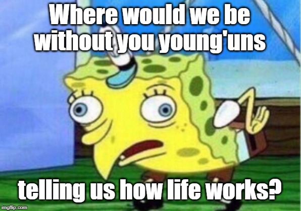 Mocking Spongebob Meme | Where would we be without you young'uns telling us how life works? | image tagged in memes,mocking spongebob | made w/ Imgflip meme maker