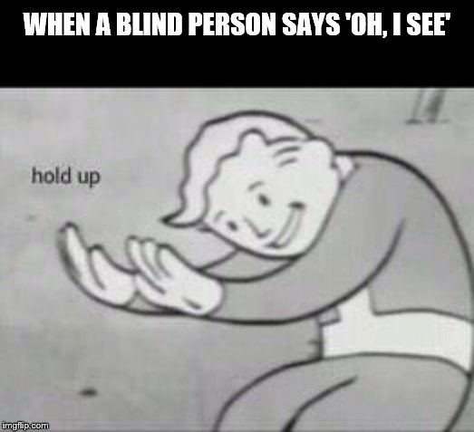 Fallout Hold Up | WHEN A BLIND PERSON SAYS 'OH, I SEE' | image tagged in fallout hold up | made w/ Imgflip meme maker