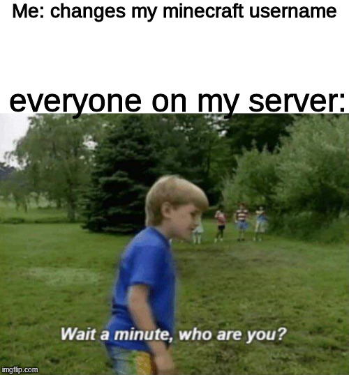 Wait a minute, who are you? | Me: changes my minecraft username; everyone on my server: | image tagged in wait a minute who are you | made w/ Imgflip meme maker