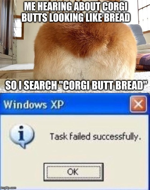 ME HEARING ABOUT CORGI BUTTS LOOKING LIKE BREAD; SO I SEARCH "CORGI BUTT BREAD" | image tagged in task failed successfully | made w/ Imgflip meme maker