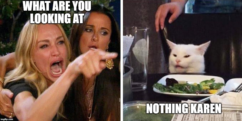Smudge the cat | WHAT ARE YOU 
LOOKING AT; NOTHING KAREN | image tagged in smudge the cat | made w/ Imgflip meme maker