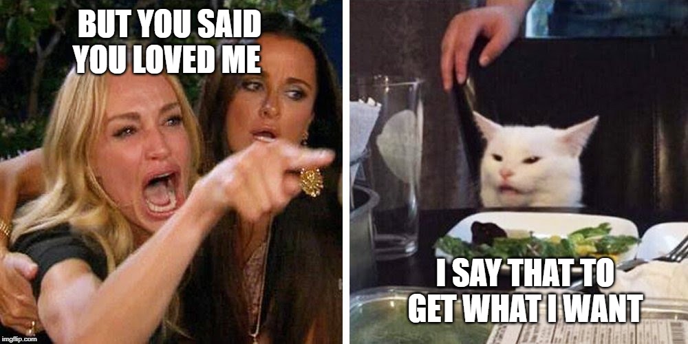 Smudge the cat | BUT YOU SAID YOU LOVED ME; I SAY THAT TO GET WHAT I WANT | image tagged in smudge the cat | made w/ Imgflip meme maker