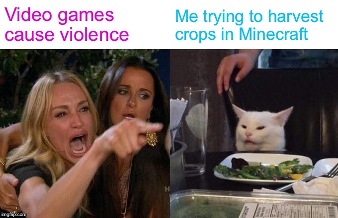 Woman Yelling At Cat | Video games cause violence; Me trying to harvest crops in Minecraft | image tagged in memes,woman yelling at cat | made w/ Imgflip meme maker