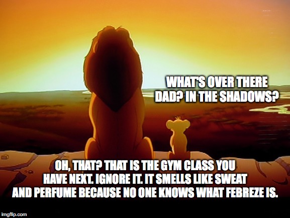 Lion King Meme | WHAT'S OVER THERE DAD? IN THE SHADOWS? OH, THAT? THAT IS THE GYM CLASS YOU HAVE NEXT. IGNORE IT. IT SMELLS LIKE SWEAT AND PERFUME BECAUSE NO ONE KNOWS WHAT FEBREZE IS. | image tagged in memes,lion king | made w/ Imgflip meme maker