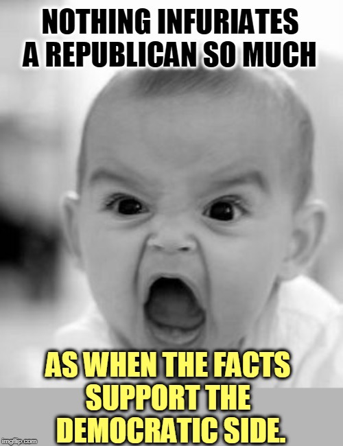 Jim Jordan or Lindsey Graham? Doug Collins? | NOTHING INFURIATES A REPUBLICAN SO MUCH; AS WHEN THE FACTS 
SUPPORT THE 
DEMOCRATIC SIDE. | image tagged in memes,angry baby,republican,democrat,facts | made w/ Imgflip meme maker