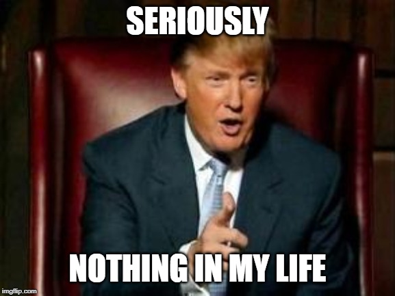 SERIOUSLY NOTHING IN MY LIFE | image tagged in donald trump | made w/ Imgflip meme maker