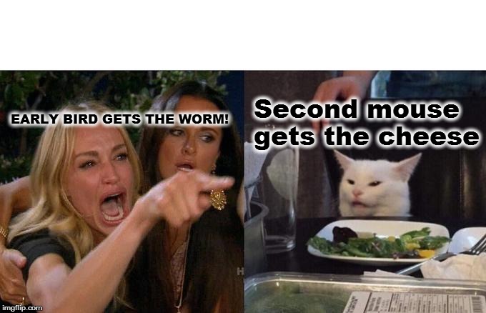 Woman Yelling At Cat Meme | EARLY BIRD GETS THE WORM! Second mouse gets the cheese | image tagged in memes,woman yelling at cat | made w/ Imgflip meme maker