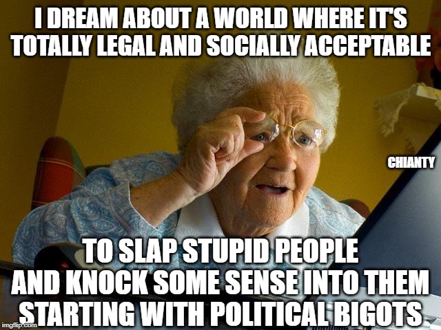 Socially Acceptable | I DREAM ABOUT A WORLD WHERE IT'S TOTALLY LEGAL AND SOCIALLY ACCEPTABLE; CHIANTY; TO SLAP STUPID PEOPLE AND KNOCK SOME SENSE INTO THEM STARTING WITH POLITICAL BIGOTS | image tagged in political meme | made w/ Imgflip meme maker