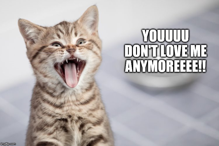 YOUUUU DON'T LOVE ME ANYMOREEEE!! | image tagged in cat,cute,funny | made w/ Imgflip meme maker