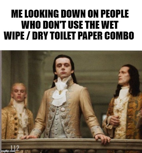 Elitist Victorian Scumbag | ME LOOKING DOWN ON PEOPLE WHO DON'T USE THE WET WIPE / DRY TOILET PAPER COMBO | image tagged in elitist victorian scumbag,toilet paper,sanitation | made w/ Imgflip meme maker