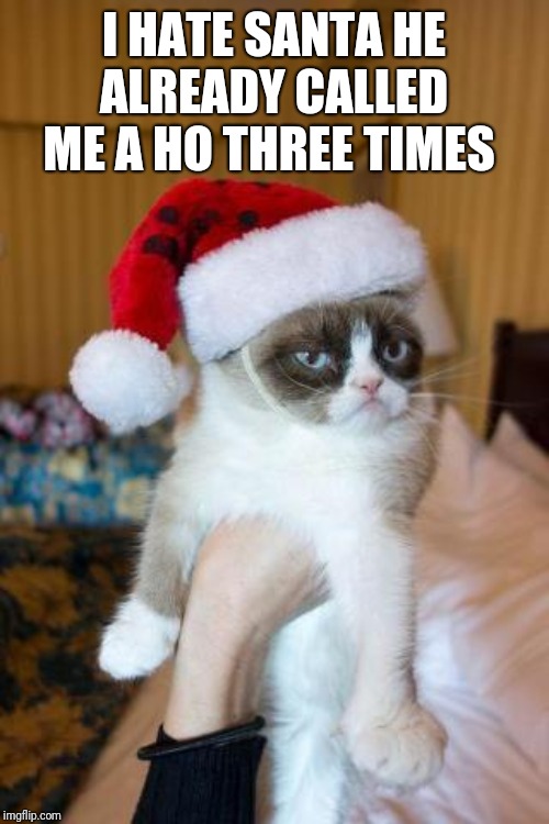 Grumpy Cat Christmas Meme | I HATE SANTA HE ALREADY CALLED ME A HO THREE TIMES | image tagged in memes,grumpy cat christmas,grumpy cat | made w/ Imgflip meme maker