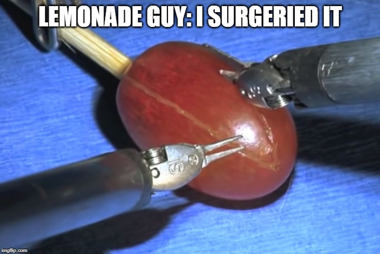 They did surgery on a grape | LEMONADE GUY: I SURGERIED IT | image tagged in they did surgery on a grape | made w/ Imgflip meme maker