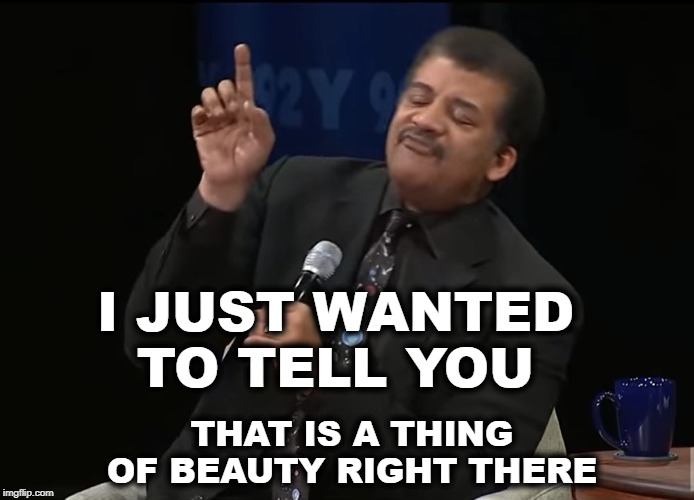 Neil DeGrasse Tyson Pointing | I JUST WANTED TO TELL YOU THAT IS A THING OF BEAUTY RIGHT THERE | image tagged in neil degrasse tyson pointing | made w/ Imgflip meme maker