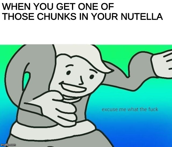 Excuse me, what the fuck | WHEN YOU GET ONE OF THOSE CHUNKS IN YOUR NUTELLA | image tagged in excuse me what the fuck,memes,fallout hold up,fallout 4,fallout,hold up | made w/ Imgflip meme maker