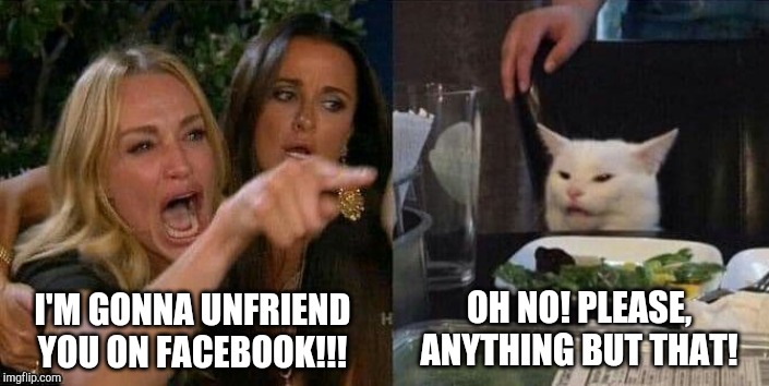 OH NO! PLEASE, ANYTHING BUT THAT! I'M GONNA UNFRIEND YOU ON FACEBOOK!!! | image tagged in woman yelling at cat | made w/ Imgflip meme maker