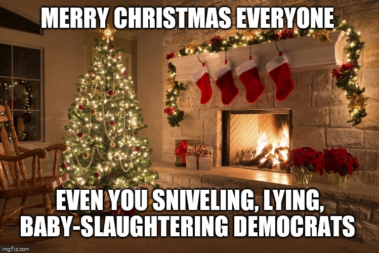 Christmas | MERRY CHRISTMAS EVERYONE; EVEN YOU SNIVELING, LYING, BABY-SLAUGHTERING DEMOCRATS | image tagged in christmas | made w/ Imgflip meme maker