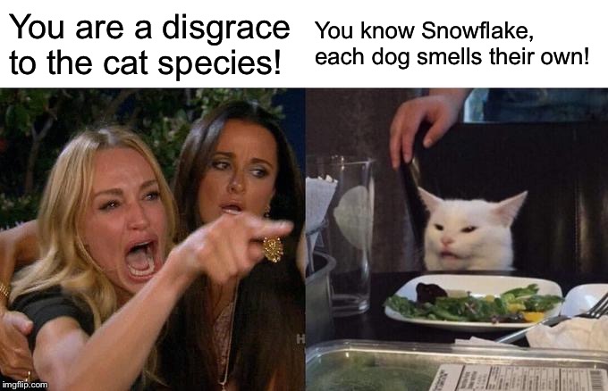 Woman Yelling At Cat | You are a disgrace to the cat species! You know Snowflake, each dog smells their own! | image tagged in memes,woman yelling at cat | made w/ Imgflip meme maker
