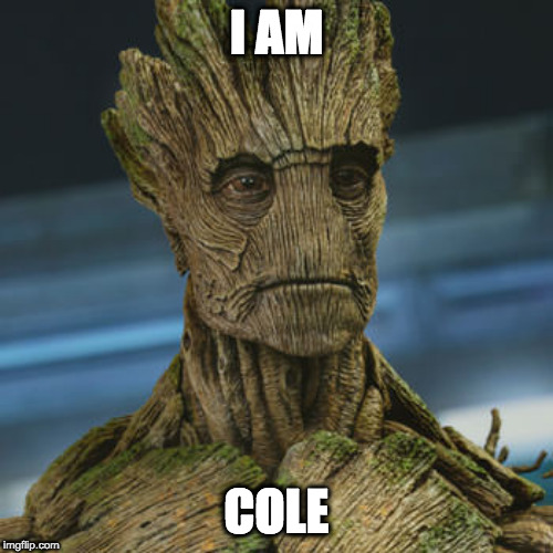 I am Groot | I AM; COLE | image tagged in i am groot | made w/ Imgflip meme maker