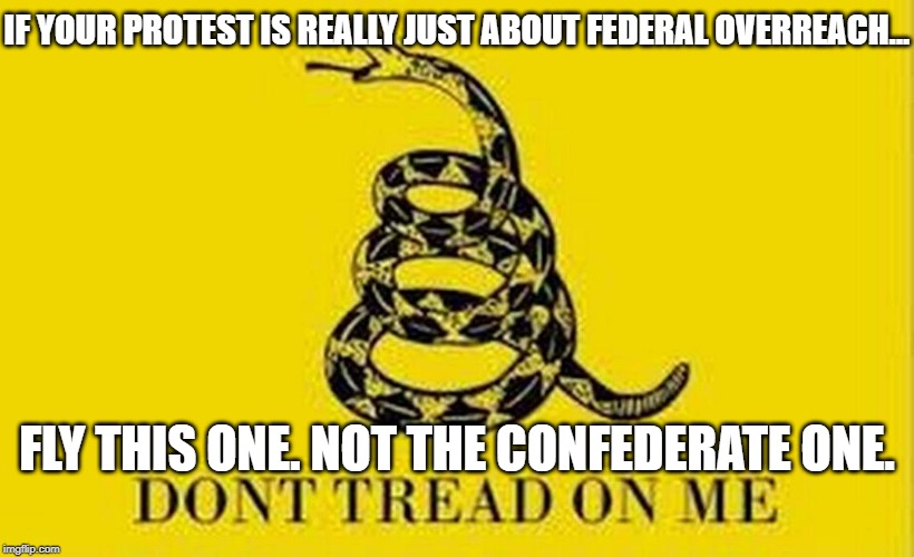 Gadsden flag = I'll allow it. | IF YOUR PROTEST IS REALLY JUST ABOUT FEDERAL OVERREACH... FLY THIS ONE. NOT THE CONFEDERATE ONE. | image tagged in colonial flag,gadsden flag,protest,confederate flag,racism,no racism | made w/ Imgflip meme maker