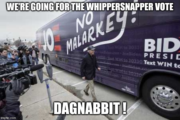 dagnabbit | WE'RE GOING FOR THE WHIPPERSNAPPER VOTE; DAGNABBIT ! | image tagged in joe biden | made w/ Imgflip meme maker
