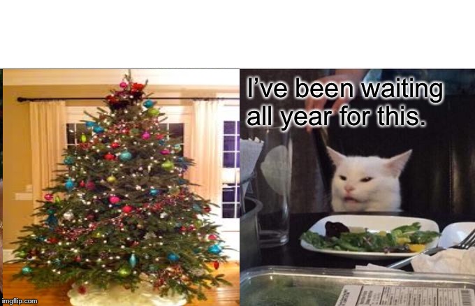 Woman Yelling At Cat Meme | I’ve been waiting all year for this. | image tagged in memes,woman yelling at cat | made w/ Imgflip meme maker
