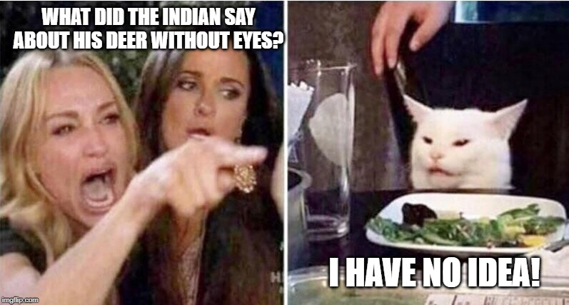 Crying girls and Cat | WHAT DID THE INDIAN SAY ABOUT HIS DEER WITHOUT EYES? I HAVE NO IDEA! | image tagged in crying girls and cat | made w/ Imgflip meme maker