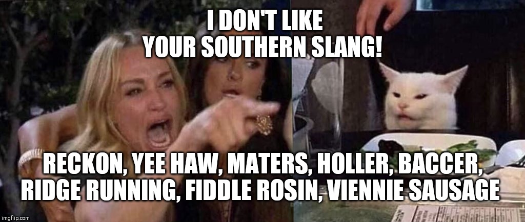 woman yelling at cat | I DON'T LIKE YOUR SOUTHERN SLANG! RECKON, YEE HAW, MATERS, HOLLER, BACCER, RIDGE RUNNING, FIDDLE ROSIN, VIENNIE SAUSAGE | image tagged in woman yelling at cat | made w/ Imgflip meme maker