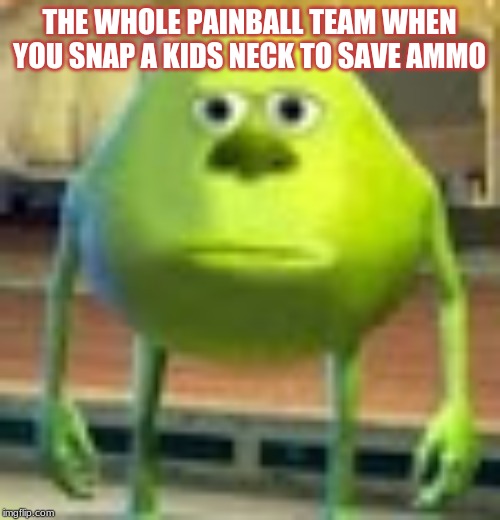 THE WHOLE PAINBALL TEAM WHEN YOU SNAP A KIDS NECK TO SAVE AMMO | image tagged in sully wazowski | made w/ Imgflip meme maker