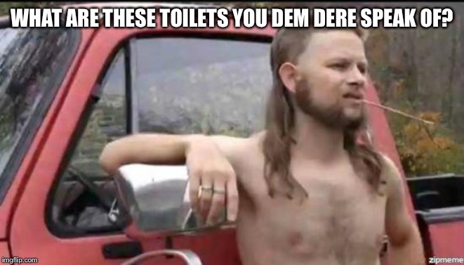 almost politically correct redneck | WHAT ARE THESE TOILETS YOU DEM DERE SPEAK OF? | image tagged in almost politically correct redneck | made w/ Imgflip meme maker