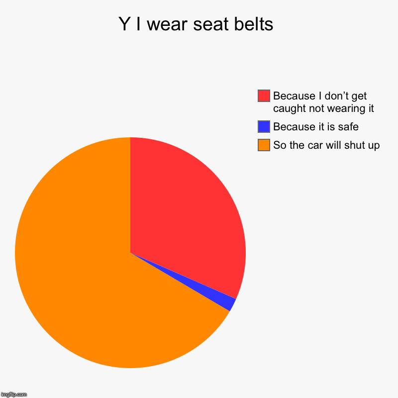 Y I wear seat belts | So the car will shut up, Because it is safe, Because I don’t get caught not wearing it | image tagged in charts,pie charts | made w/ Imgflip chart maker