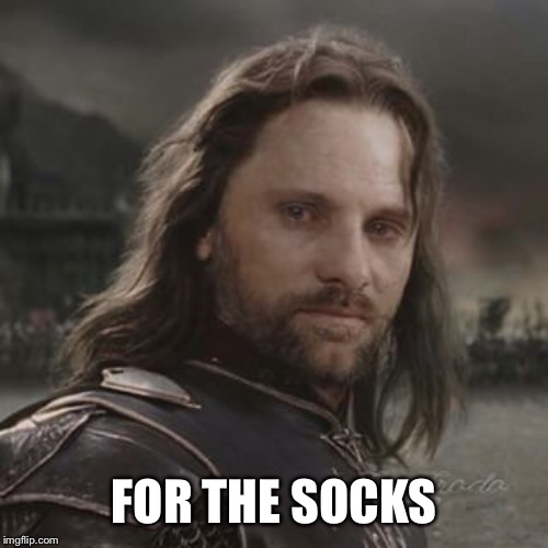 Aragorn for Frodo - Square | FOR THE SOCKS | image tagged in aragorn for frodo - square | made w/ Imgflip meme maker