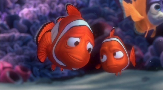 High Quality Nemo and Father Blank Meme Template