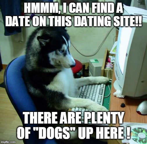 I Have No Idea What I Am Doing | HMMM, I CAN FIND A DATE ON THIS DATING SITE!! THERE ARE PLENTY OF "DOGS" UP HERE ! | image tagged in memes,i have no idea what i am doing | made w/ Imgflip meme maker