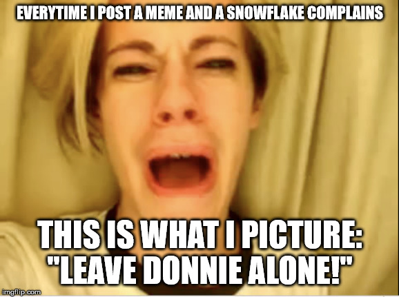 Leave Britney Alone | EVERYTIME I POST A MEME AND A SNOWFLAKE COMPLAINS; THIS IS WHAT I PICTURE: "LEAVE DONNIE ALONE!" | image tagged in leave britney alone | made w/ Imgflip meme maker