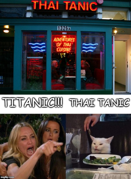 THAI TANIC; TITANIC!!! | image tagged in memes,woman yelling at cat | made w/ Imgflip meme maker
