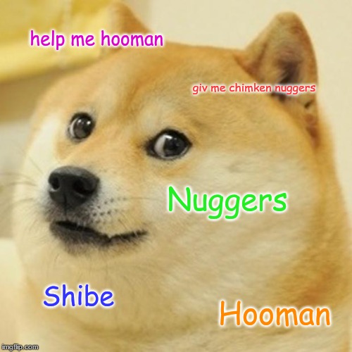 Doge Meme | help me hooman; giv me chimken nuggers; Nuggers; Shibe; Hooman | image tagged in memes,doge | made w/ Imgflip meme maker