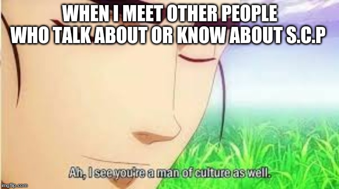 Ah,I see you are a man of culture as well | WHEN I MEET OTHER PEOPLE WHO TALK ABOUT OR KNOW ABOUT S.C.P | image tagged in ah i see you are a man of culture as well | made w/ Imgflip meme maker