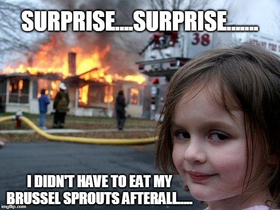 Disaster Girl Meme | SURPRISE....SURPRISE....... I DIDN'T HAVE TO EAT MY BRUSSEL SPROUTS AFTERALL..... | image tagged in memes,disaster girl | made w/ Imgflip meme maker