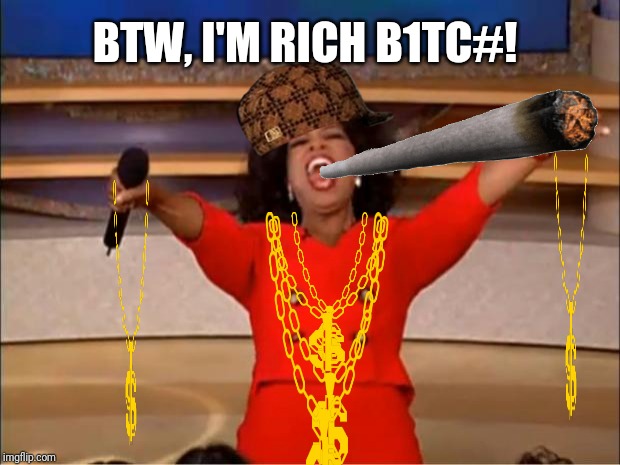 Oprah You Get A Meme | BTW, I'M RICH B1TC#! | image tagged in memes,oprah you get a,lol,dumb | made w/ Imgflip meme maker
