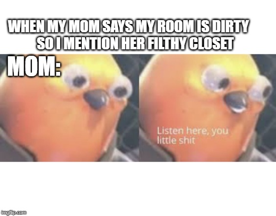 Listen here you little shit bird | WHEN MY MOM SAYS MY ROOM IS DIRTY     
SO I MENTION HER FILTHY CLOSET; MOM: | image tagged in listen here you little shit bird | made w/ Imgflip meme maker