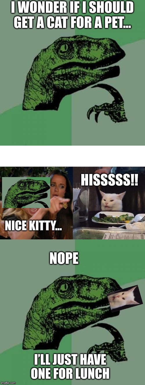 I WONDER IF I SHOULD GET A CAT FOR A PET... HISSSSS!! NICE KITTY... NOPE; I’LL JUST HAVE ONE FOR LUNCH | image tagged in memes,philosoraptor,woman yelling at cat | made w/ Imgflip meme maker