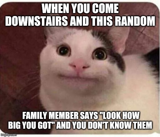Polite Cat | WHEN YOU COME DOWNSTAIRS AND THIS RANDOM; FAMILY MEMBER SAYS "LOOK HOW BIG YOU GOT" AND YOU DON'T KNOW THEM | image tagged in polite cat | made w/ Imgflip meme maker