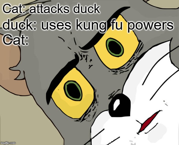 ducks are powerful | Cat: attacks duck; duck: uses kung fu powers
Cat: | image tagged in memes,unsettled tom,ducks,duck,kung fu | made w/ Imgflip meme maker